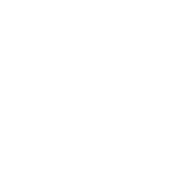 Ben Spade Logo white Ace
